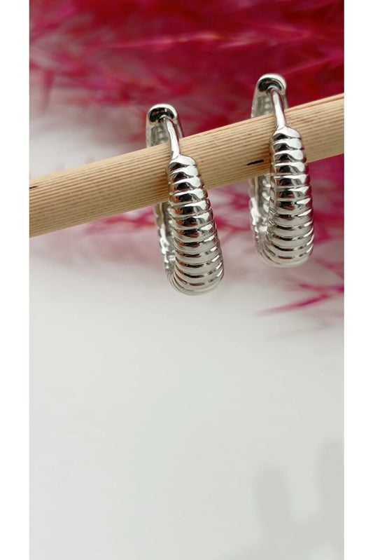 Silver Hoops Earrings - Aviksha Creations