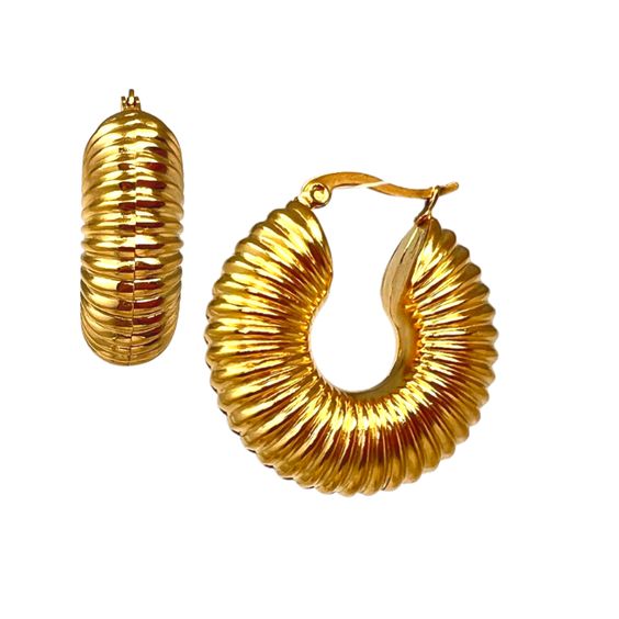 Combo Set of 2 Anti Tanish Earrings for Womens Wear Gold Plated - Aviksha Creations