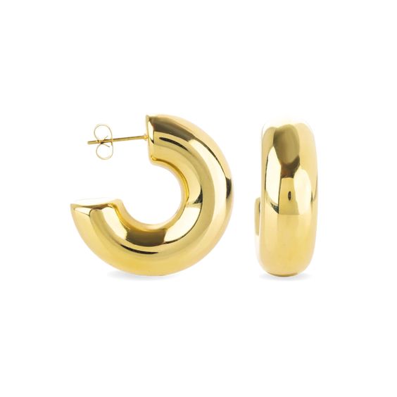 Chunky Anti Tanished Earrings Hoops