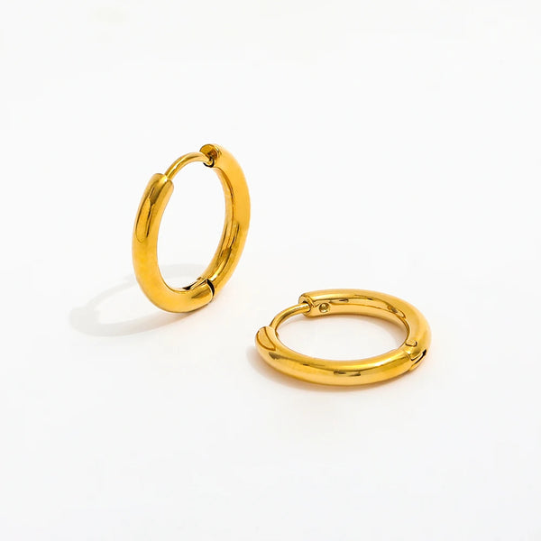 Gold Stainless Steel 18k Gold Plated Earrings - Aviksha Creations