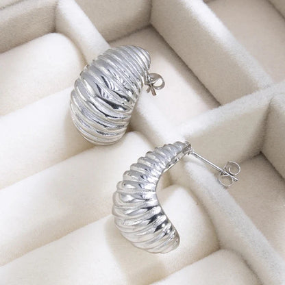 Silver Demi Fine Stainless Steel Earrings