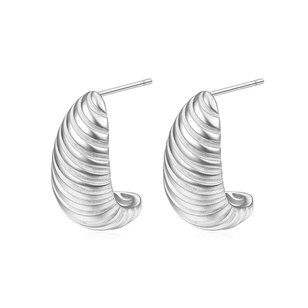 Silver Demi Fine Stainless Steel Earrings