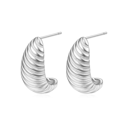 Silver Demi Fine Stainless Steel Earrings