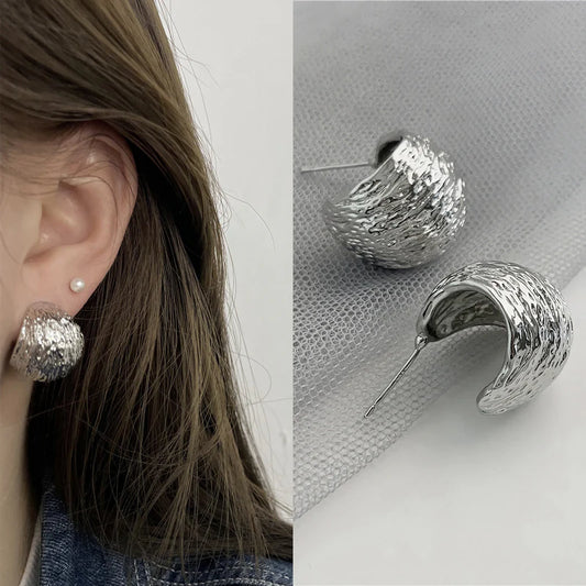 Silver Earrings Studded