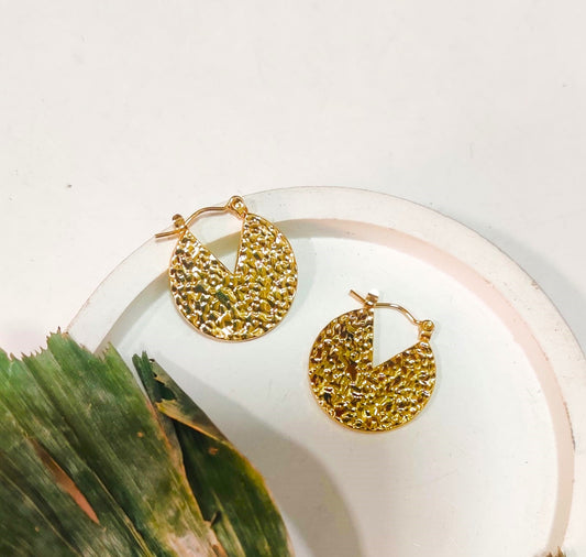 Stardust Hoops Anti Tanish Earrings