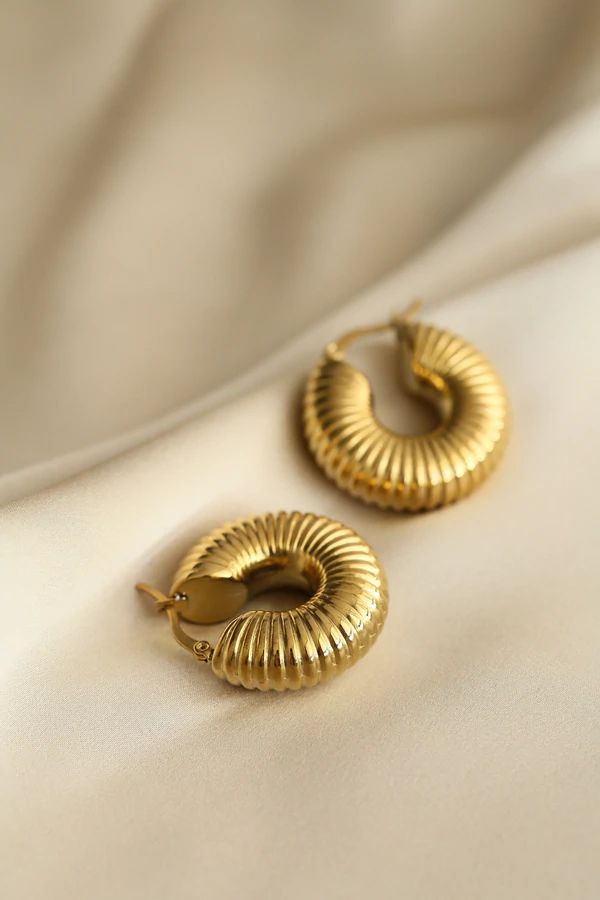 Combo Set of 2 Anti Tanish Earrings for Womens Wear Gold Plated - Aviksha Creations