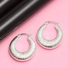 Silver Hooped Earrings - Aviksha Creations