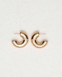 Gold Plated Hooped Earrings - Aviksha Creations